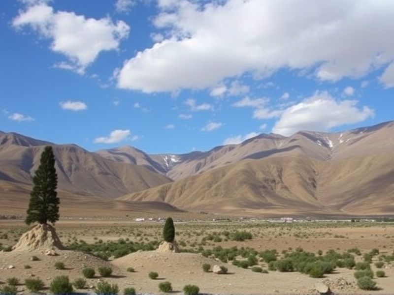 Buy Aged Google Accounts in Bolivia