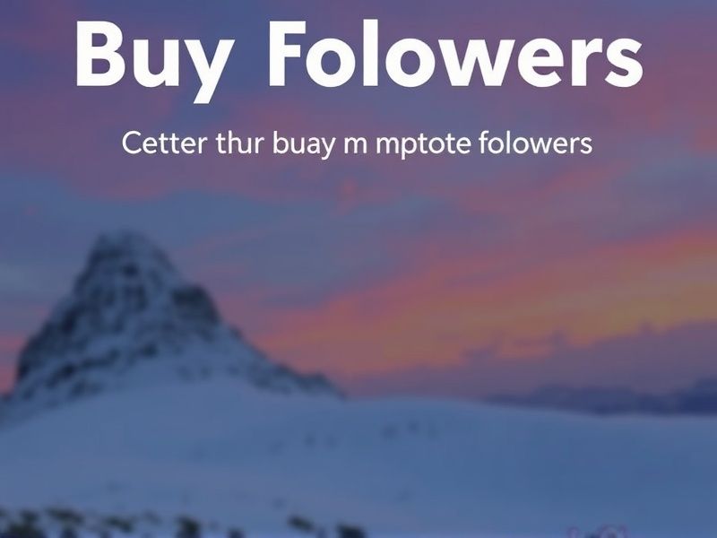 buy followers ig