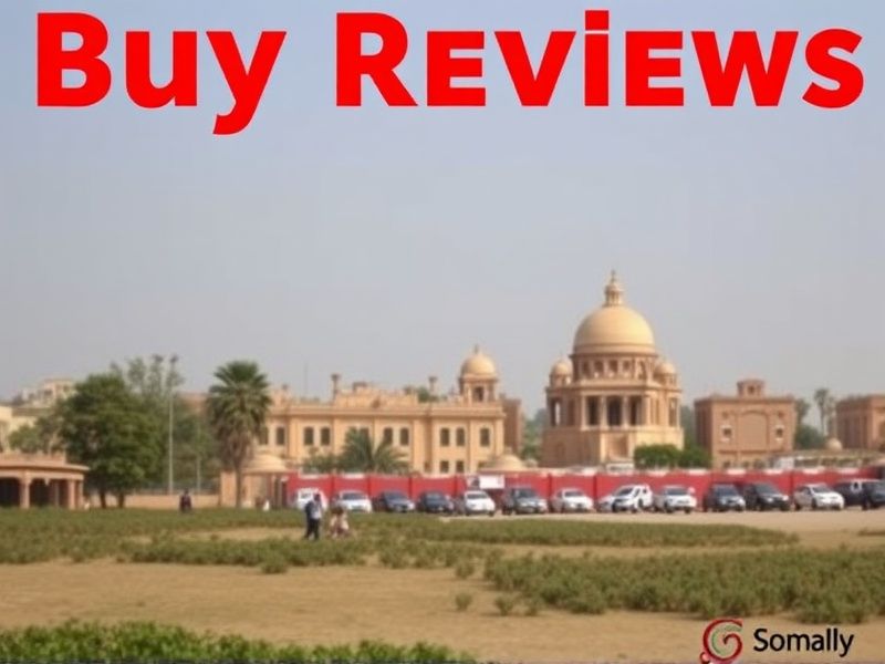 Buy GMB Reviews in Somalia