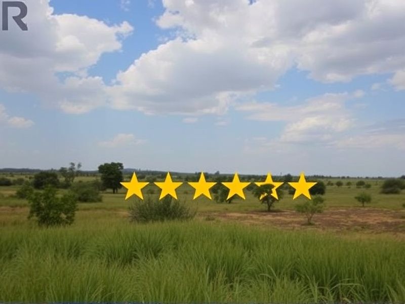 Buy Google 5 stars Reviews in Zambia