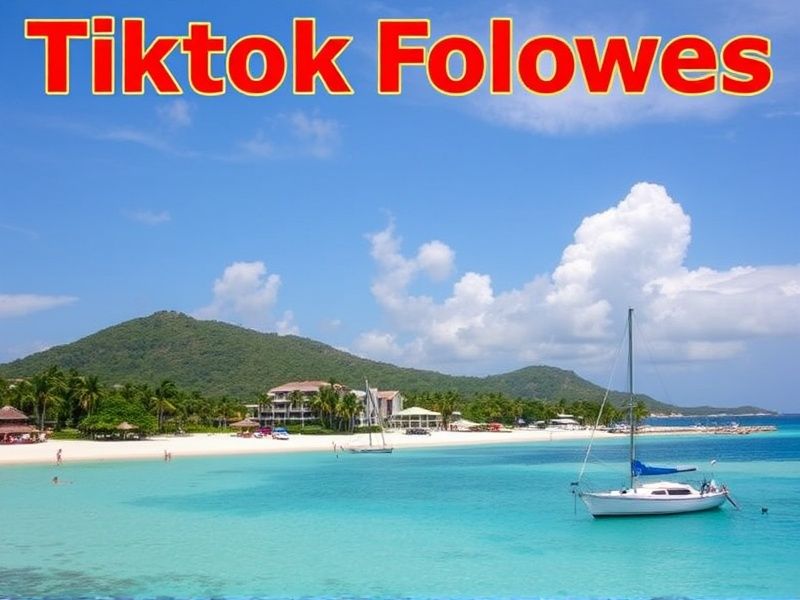 Buy Tiktok Followers in Barbados