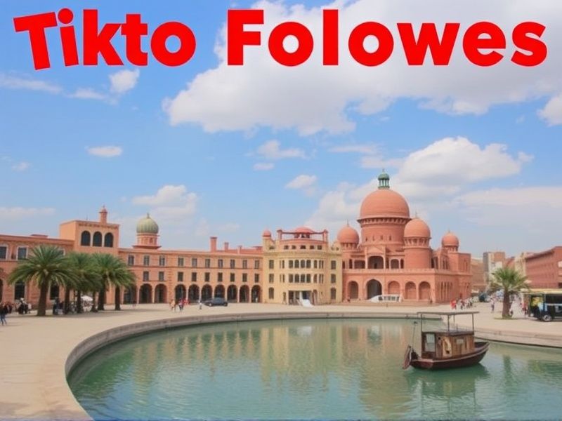 Buy Tiktok Followers in Chad
