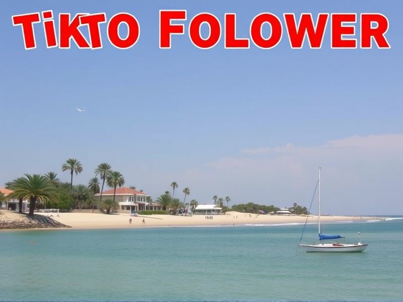 Buy Tiktok Followers in Djibouti