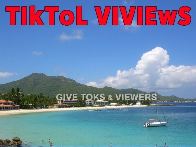Buy TikTok Live Viewers in Haiti