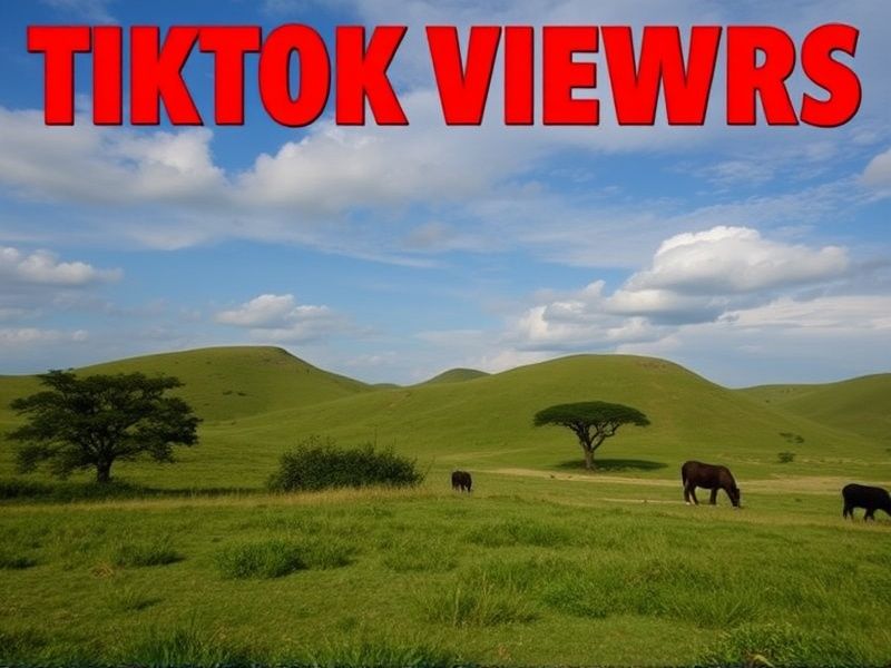 Buy TikTok Live Viewers in Malawi: Instant & Organic Growth Service