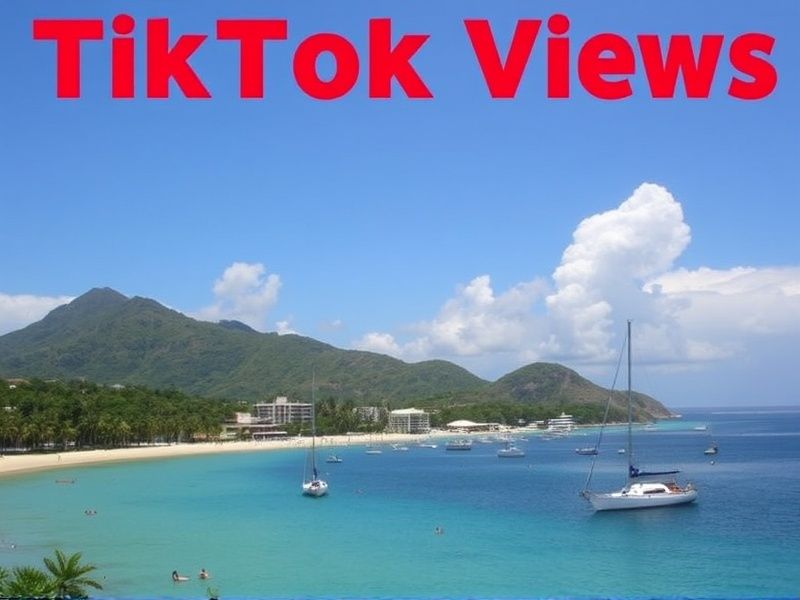 Buy Tiktok Views in Haiti
