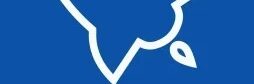 Boost Websites: Accelerate Your Online Presence