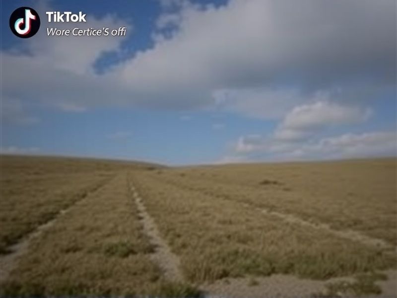 what does repost mean on tiktok